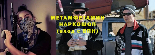 гидра Каменногорск