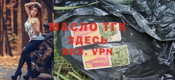 гидра Каменногорск