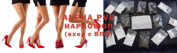 гидра Каменногорск