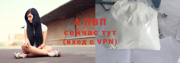 гидра Каменногорск