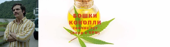 гидра Каменногорск