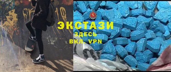 гидра Каменногорск