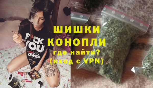 гидра Каменногорск