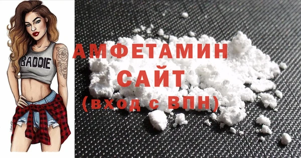 гидра Каменногорск