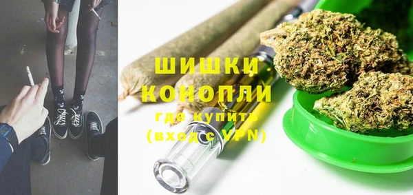 гидра Каменногорск