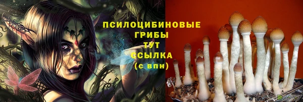 героин Каменка