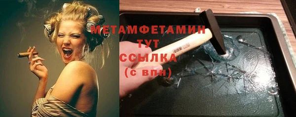 гидра Каменногорск