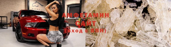 гидра Каменногорск